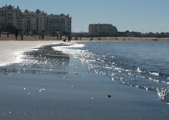 شقة Prime Parque *